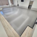 왈왈애견 이미지