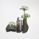 하루하루하루 이미지