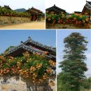 서재골(상) | 삼방동 (주)새우다 서재골 해물포차 착한가격 메뉴짱짱/김해 능소화 어방동 촬영지 소개~^^