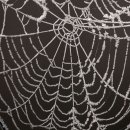 모자이크A 이미지