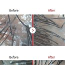 닥터포헤어 케어랩 강남 이미지