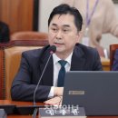 피아디자인 이미지