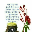 행복한하루 이미지
