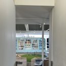 핫 독 | 파주 애견카페 글램독 방문!