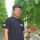 법인그린팜
