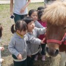 진흥유치원 이미지