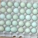 청계슈퍼 이미지