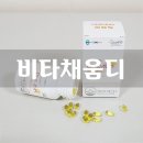 채움디 | 비타채움디 현대인 에게 꼭필요한 하루 1알 비타민디