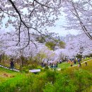 연희자연마당 공원 이미지
