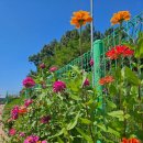 심학중학교 이미지