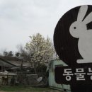 이조농장 이미지