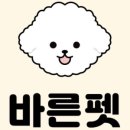 바른펫