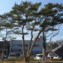 상산주유소 이미지