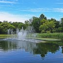 쉼터사슴 이미지