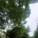 덕양건설(주) 이미지