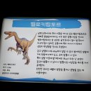 광명동굴 공룡체험전 이미지