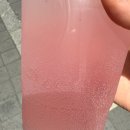 컴포즈커피 스페셜 메뉴 제로슈가 캐모마일 리프레시 내돈내산 후기