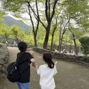 아림동물병원