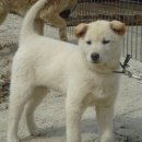 소망축산 이미지