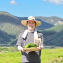 농림상회