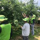 신장리사과마을 이미지