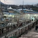 도봉역 근처 맛집 {도봉산 양고기} 방문후기