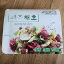 2025 부산 식품박람회 관람 후기 입장료 무료입장 현장등록 방법