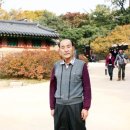 도송 Daum카페