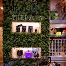 은가비2 이미지