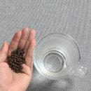 이지경영자문 | 마이크로바이옴밸런스 젠장! 윤복근 교수님 유산균 후기
