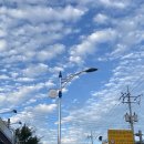 금득이네 국밥 이미지