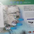 청송신용협동조합 이미지