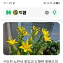 번영약초