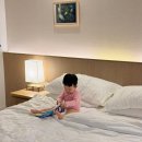 그랜드 조선 제주 아리아 21개월 아기와 함께한 호텔 후기