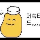 네일이담 이미지