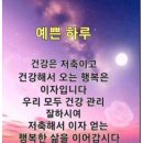 예쁜하루 이미지