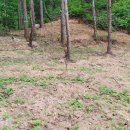 삼봉농원 이미지