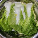 김장양념 김장김치 배추10포기 20kg 절이기부터 담그기까지