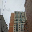라임디자인 이미지