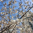 예쁜레아미장원 | [울산 미용실] 헤어스타일링 예쁘게 해주는 울산 남구 무거동 *예쁜레아 미장원*