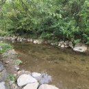 은하수 관광농원 이미지