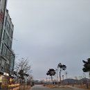 [세종보람동맛집] 고기두툼한 탕수육 맛집, 짜장면 4000원행사! &#39;정쉐프탕수육&#39;