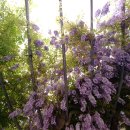 죽전동행정복지센터 이미지