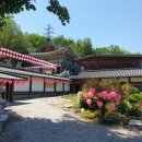남부순환로328길 49__ 이미지