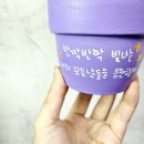 강동백농장 네이버블로그