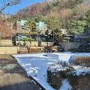 클럽타피올라 | 양평 펜션 친구들과 다녀온 클럽타피올라펜션 솔직후기.