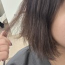 김밥천국(단계평원점) | 운정미용실 추천 '유로소헤어 파주운정점' 밀본 클리닉 후기 1시간 안마의자에서 클리닉받기