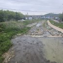 반월천1 이미지