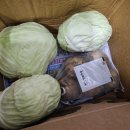 (주)다온팜 이미지