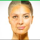 센트럴성형외과의원 이미지